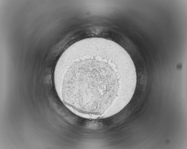 X0000112500754200909281157