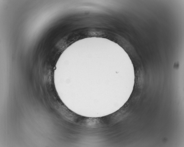 X0000112500762200909281157