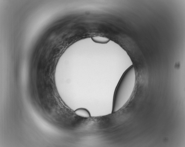 X0000112500764200909281157