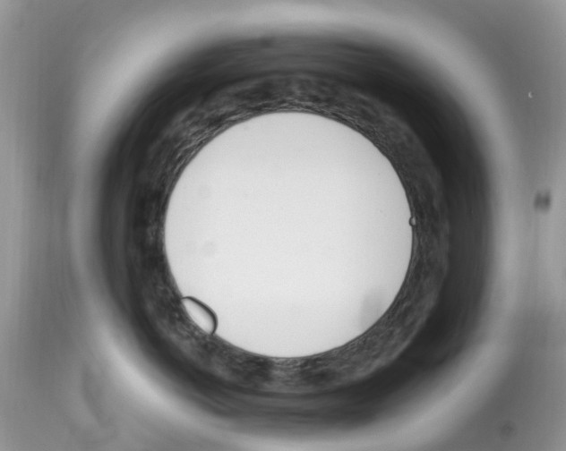 X0000112500766200909281157