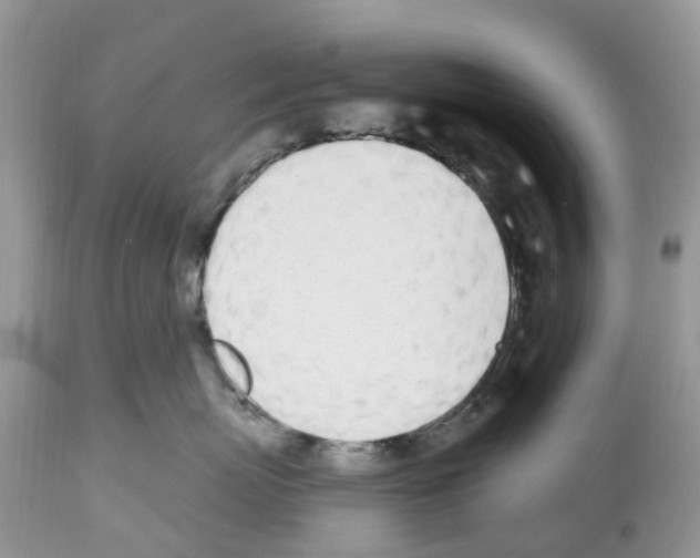 X0000112500767200909281157