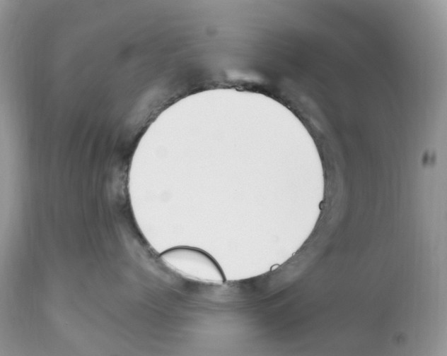 X0000112500768200909281157