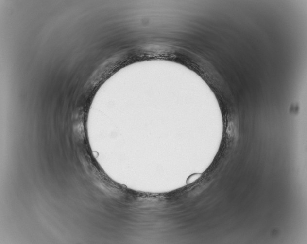 X0000112500771200909281156