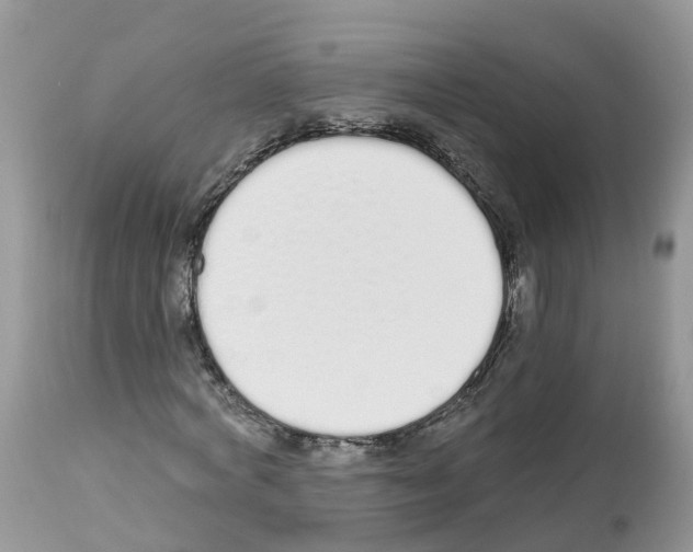 X0000112500772200909281156