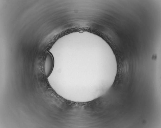 X0000112500773200909281156