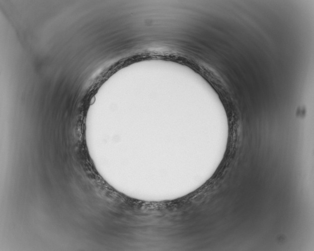 X0000112500776200909281156