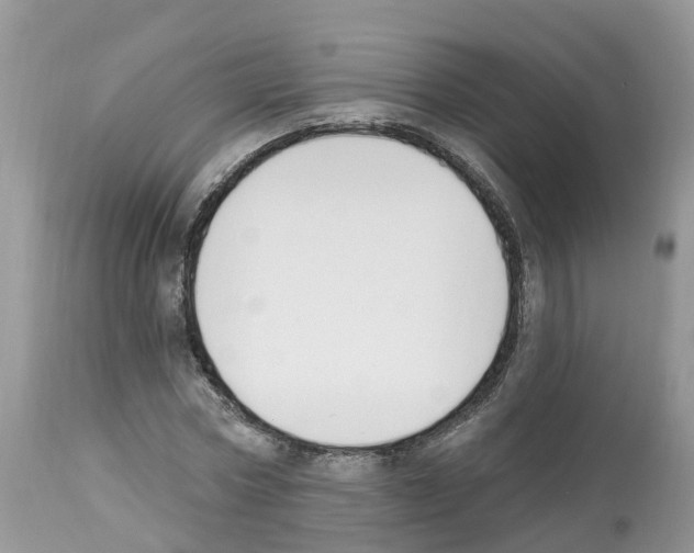 X0000112500778200909281156