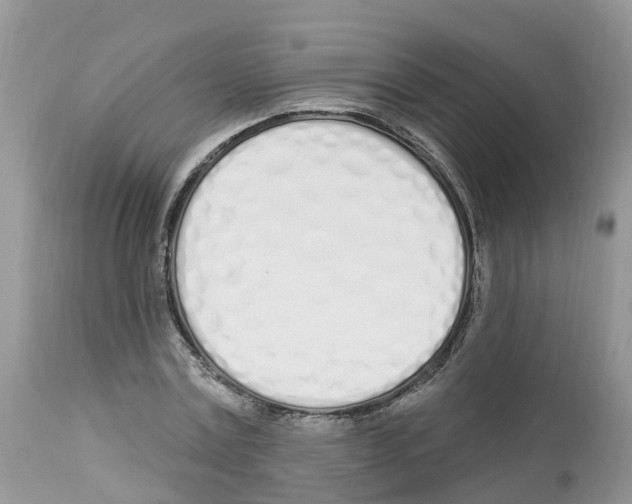 X0000112500779200909281156