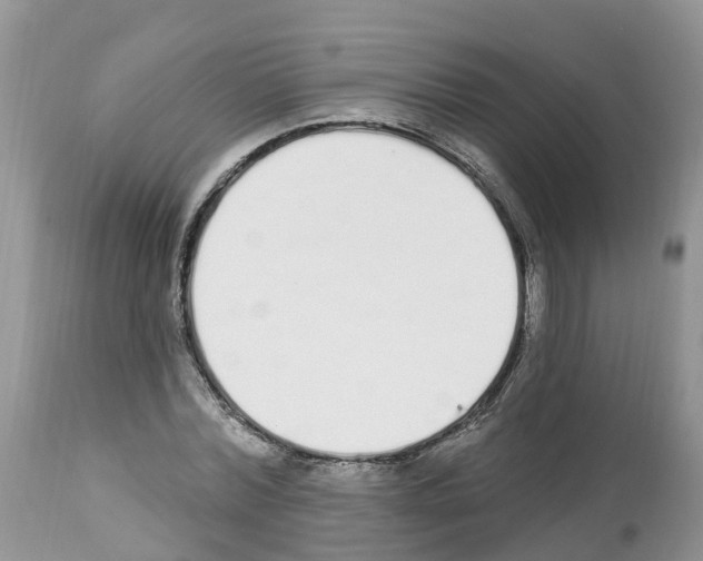 X0000112500780200909281156