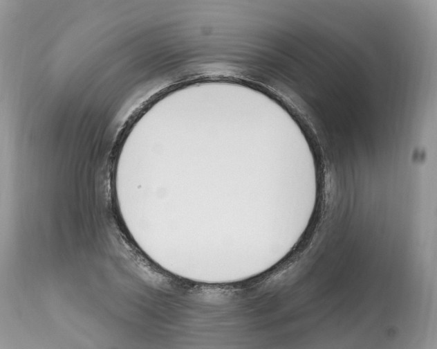 X0000112500782200909281156