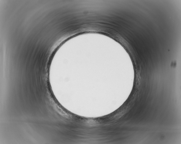 X0000112500787200909281156