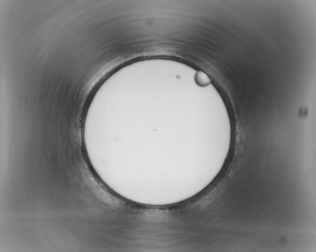 X0000112500789200909281156