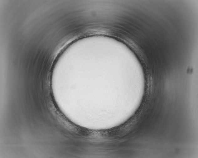 X0000112500790200909281156