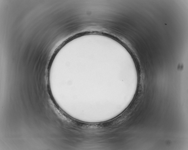 X0000112500791200909281156