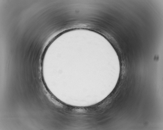 X0000112500792200909281156