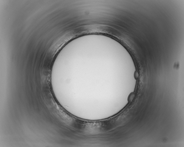 X0000112500793200909281156