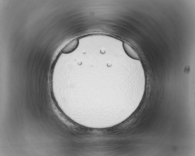 X0000112500796200909281156