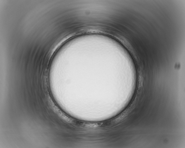 X0000112500798200909281156