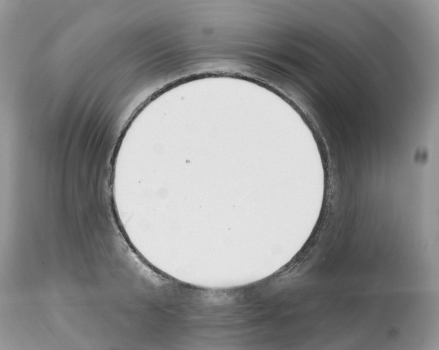 X0000112500799200909281156