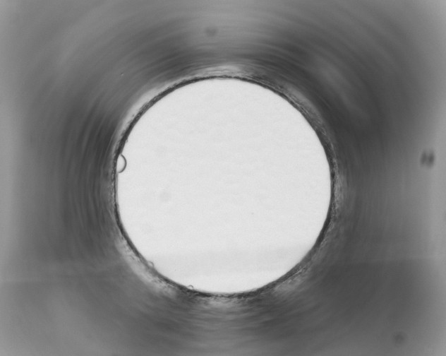 X0000112500800200909281156