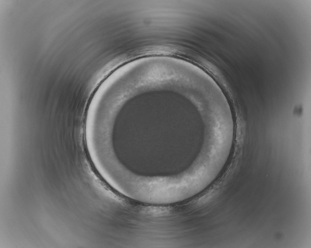 X0000112500802200909281156