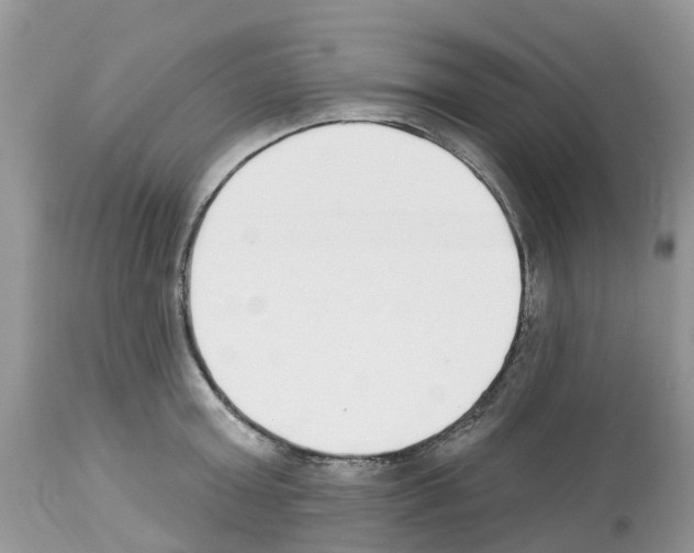 X0000112500803200909281155