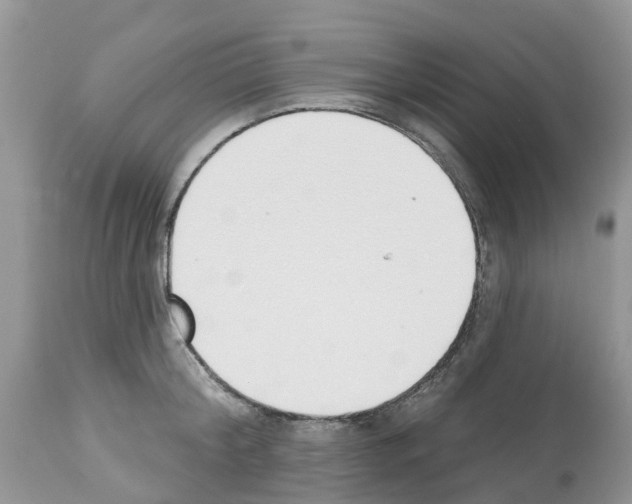 X0000112500804200909281155