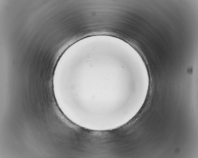 X0000112500805200909281155