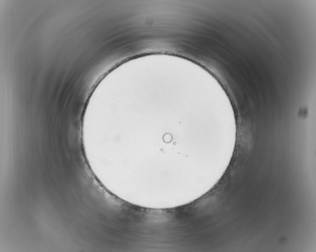 X0000112500807200909281155