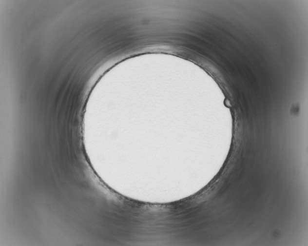 X0000112500808200909281155