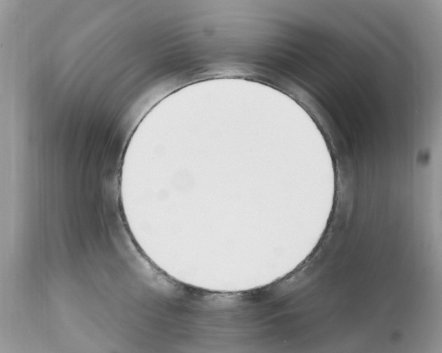 X0000112500810200909281155