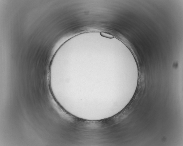 X0000112500811200909281155