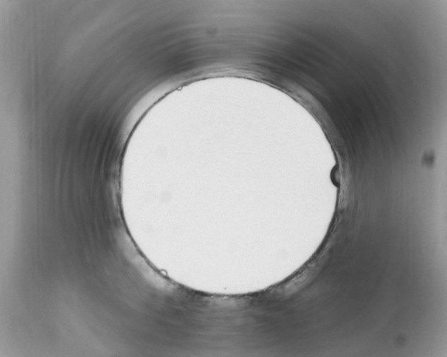 X0000112500812200909281155