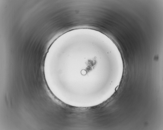 X0000112500813200909281155