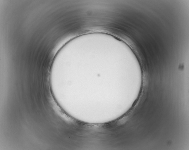 X0000112500814200909281155