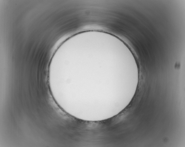 X0000112500815200909281155