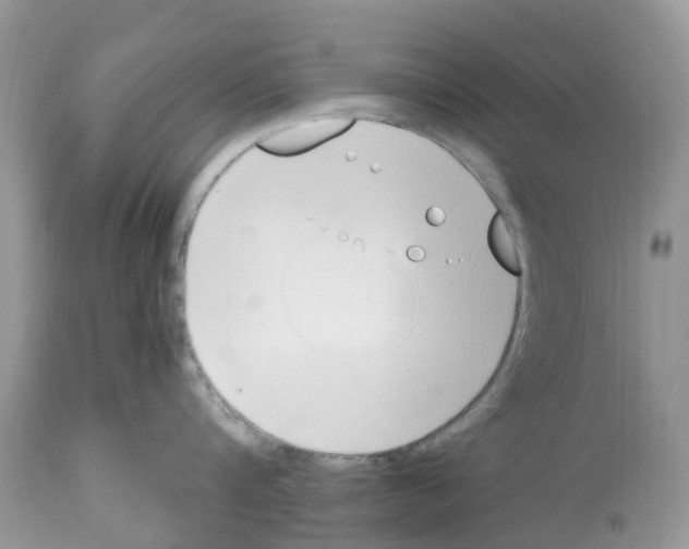 X0000112500816200909281155