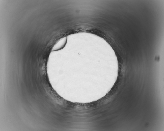 X0000112500818200909281155