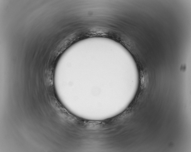 X0000112500819200909281155