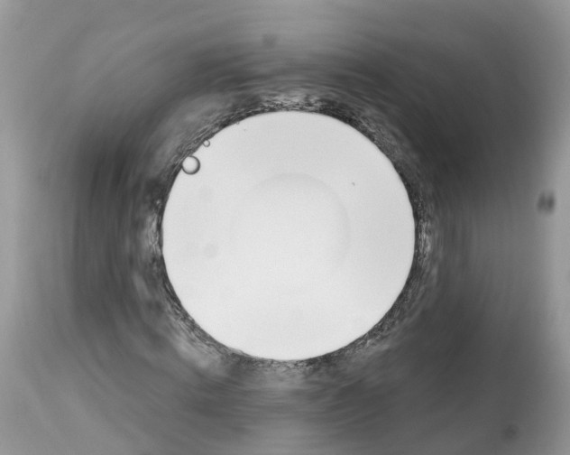 X0000112500820200909281155