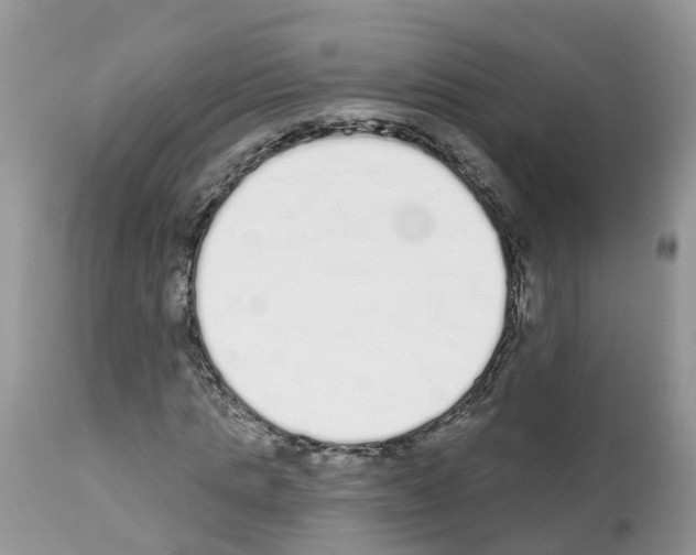 X0000112500821200909281155