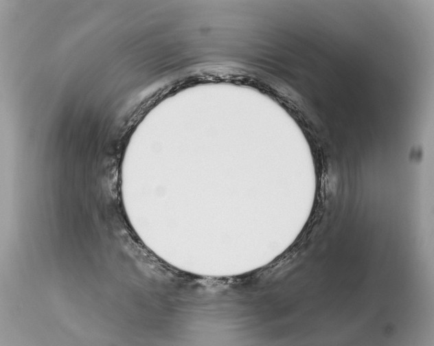 X0000112500822200909281155