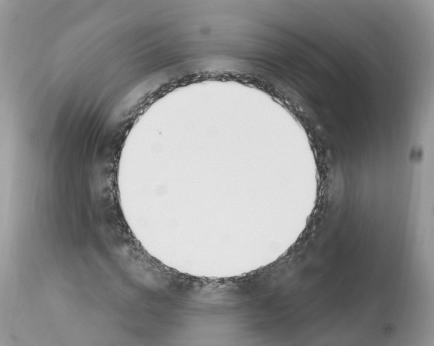 X0000112500824200909281155