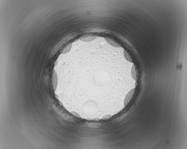 X0000112500825200909281155