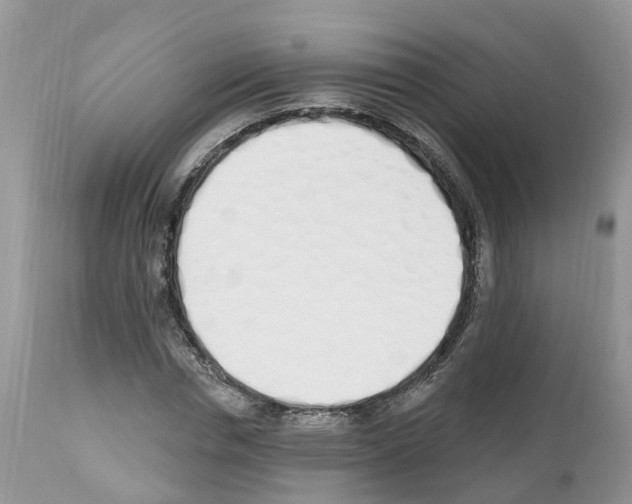 X0000112500826200909281155