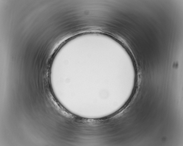 X0000112500827200909281155