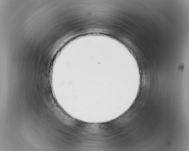 X0000112500828200909281155