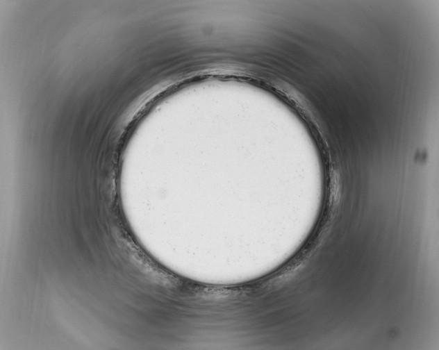 X0000112500829200909281155