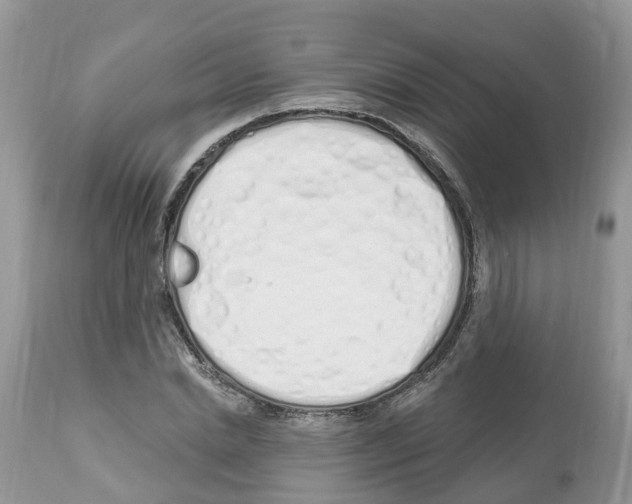 X0000112500830200909281155