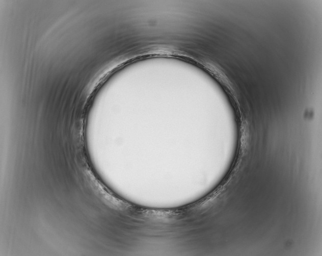 X0000112500831200909281155